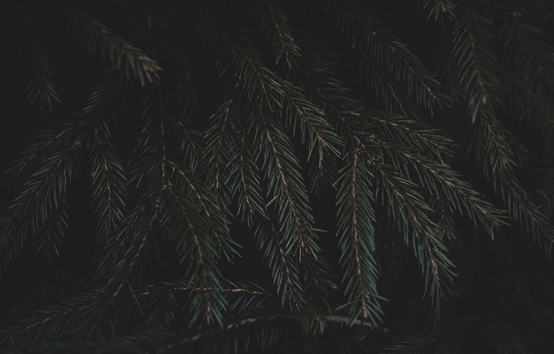 Menemukan Pengalaman Bermain Slot yang Aman dengan Situs Slot Deposit QRIS