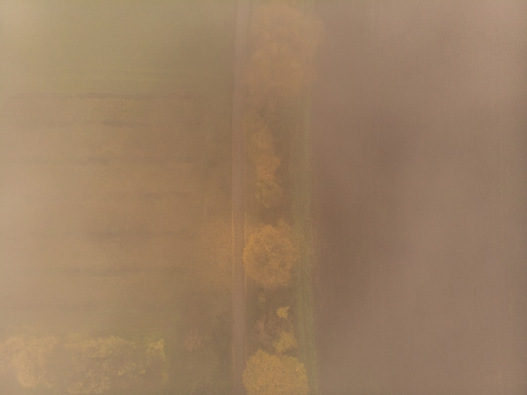 Slot Gacor Hari Ini DV188: Tips dan Trik Terbaik