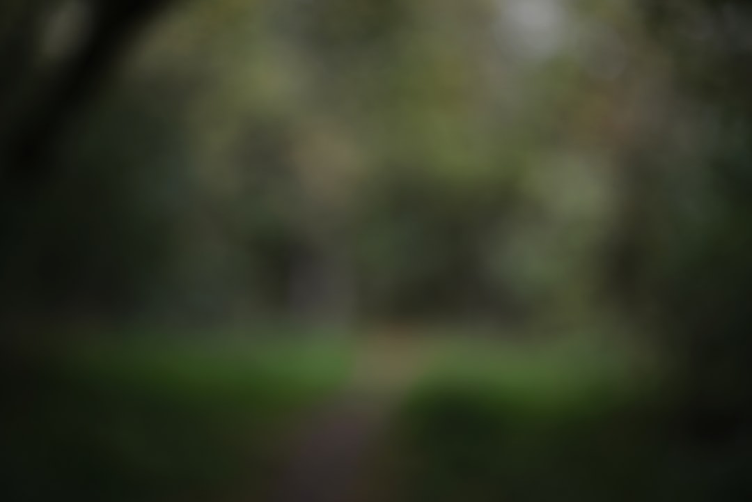 Situs Judi Slot Online DV188: Menikmati Permainan dengan Aman dan Menguntungkan